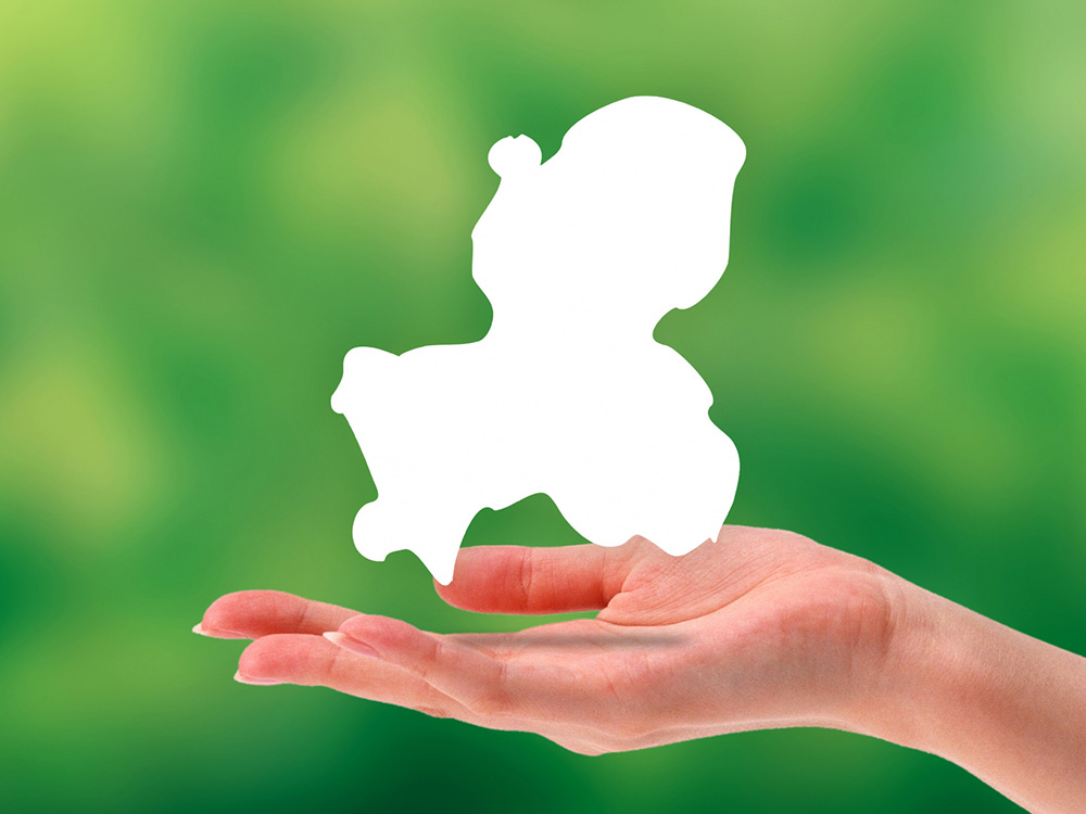 地域限定システム